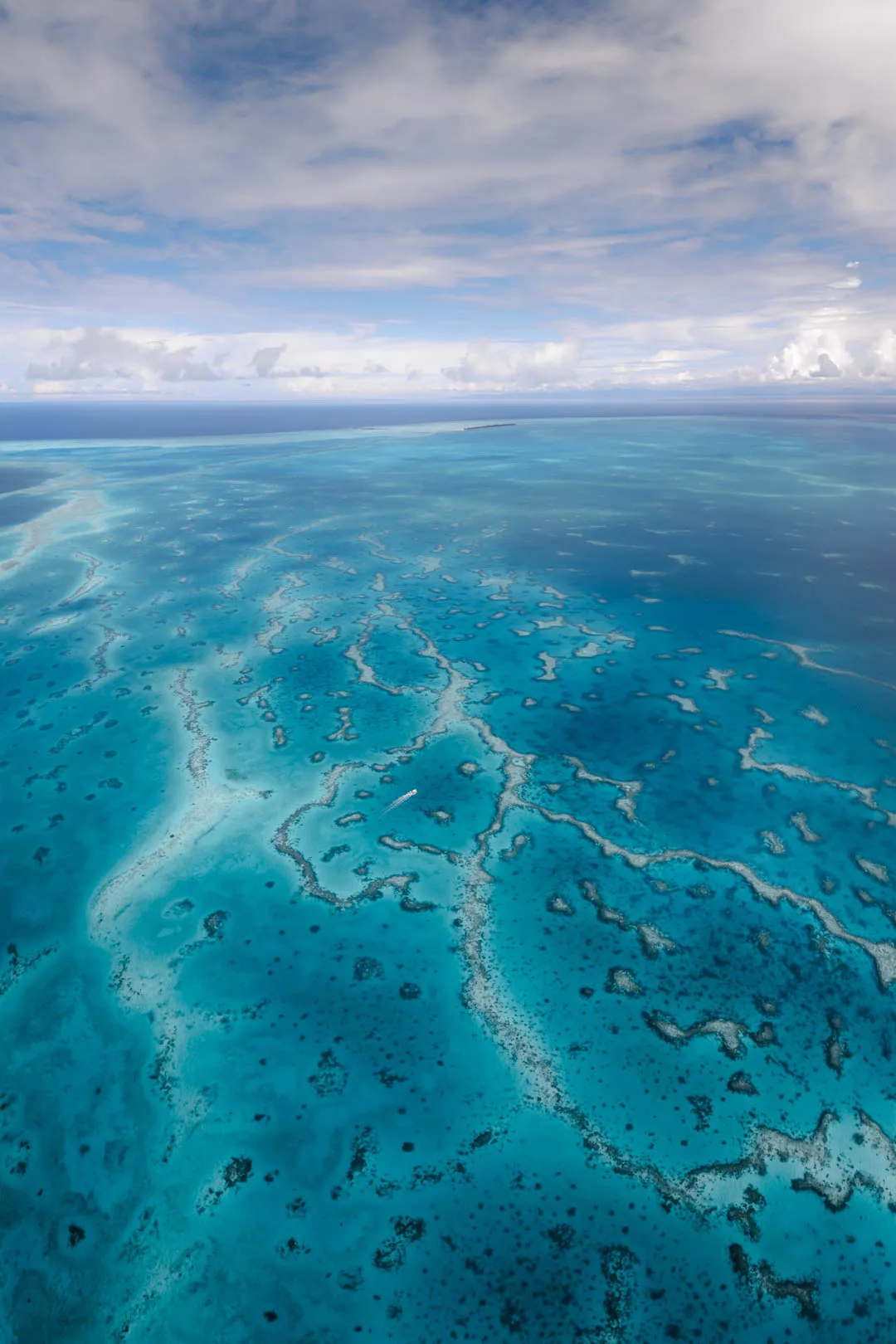 Aerial view of pristine coral reefs in the remote Ayau Archipelago, Raja Ampat