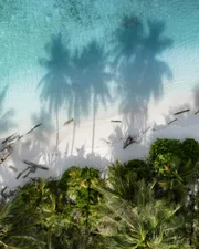 Palm-covered tropical island in the remote Ayau Archipelago, Raja Ampat