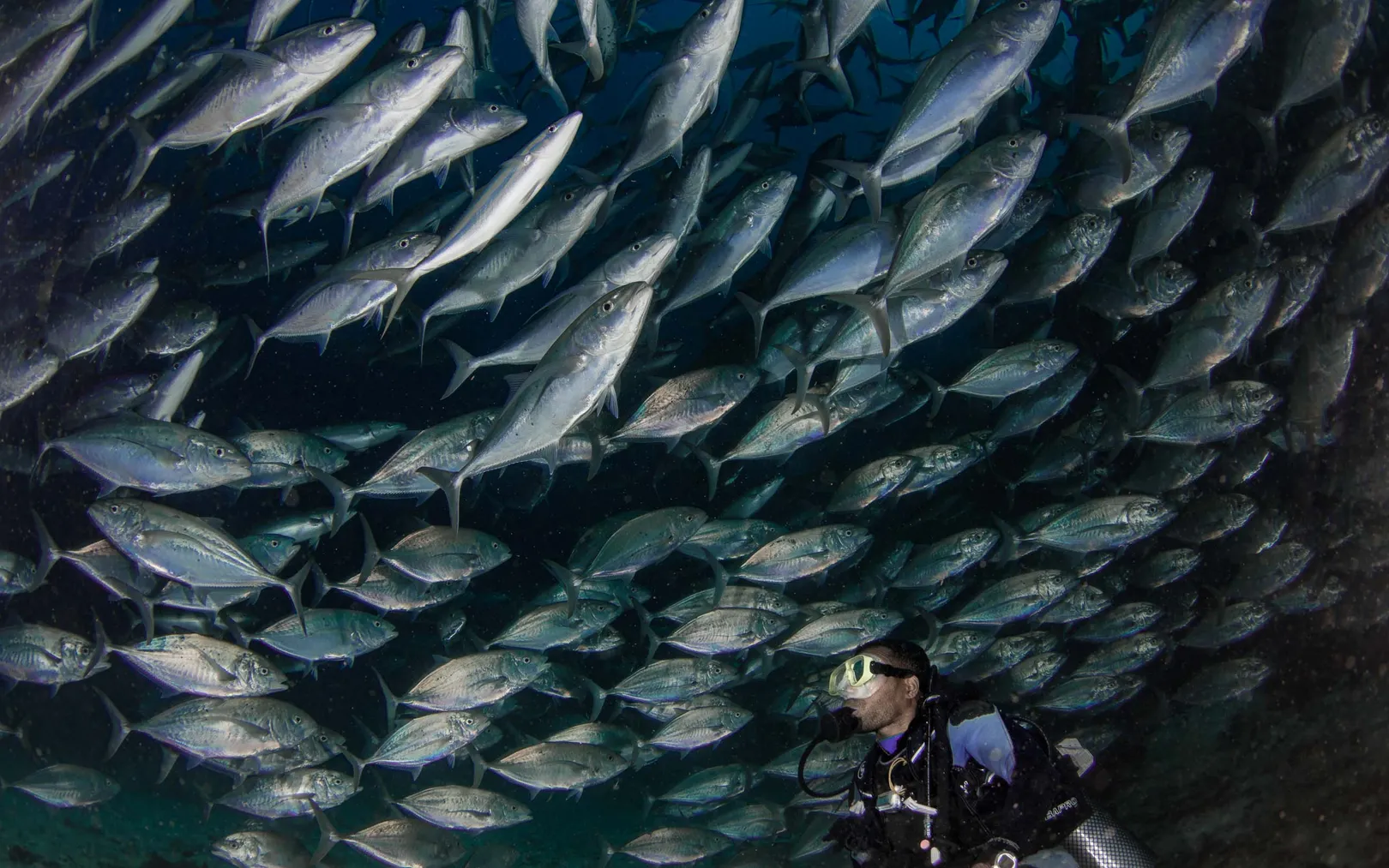 Diving Batanta's reefs in Raja Ampat