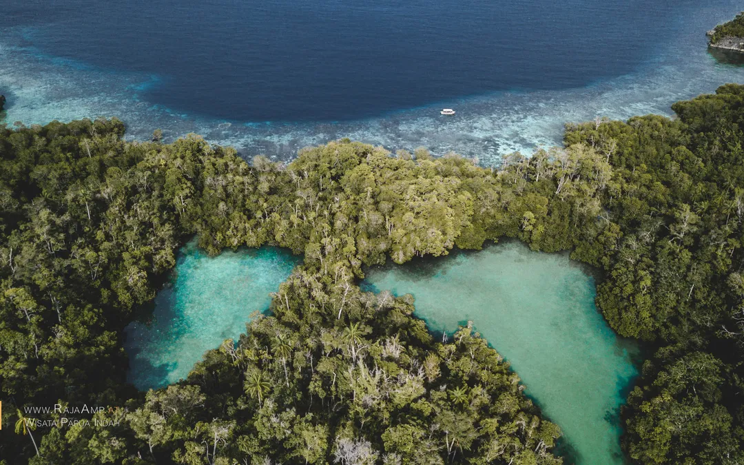 Aerial view of two hidden lagoons on Batanta islands in Raja Ampat