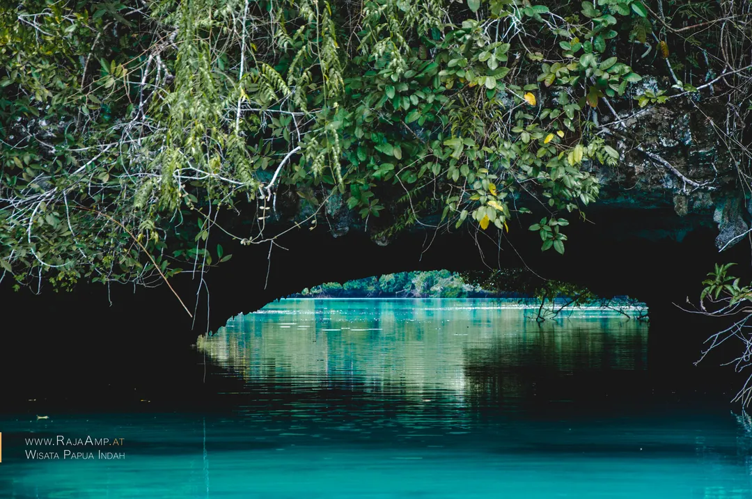 A tunnel to a hidden lagoon on Gam island in Raja Ampat