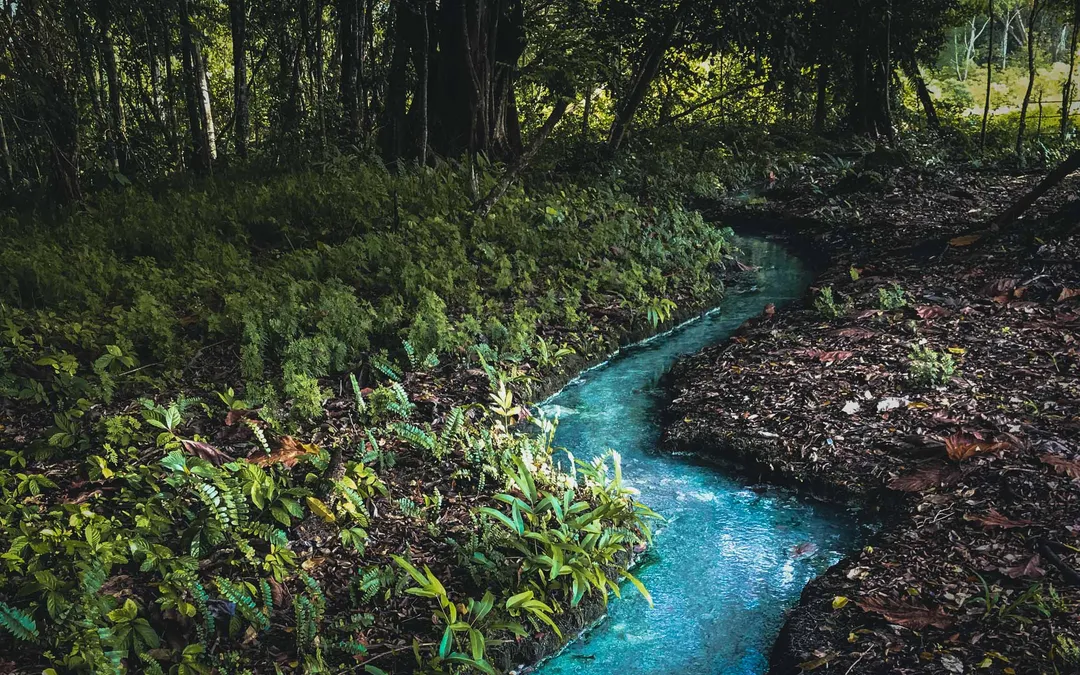 Anita & Gunda in Raja Ampat — photo 14