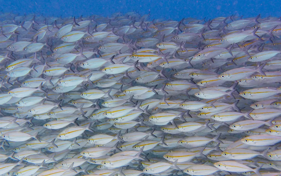 Anja & Annik in Raja Ampat — photo 2