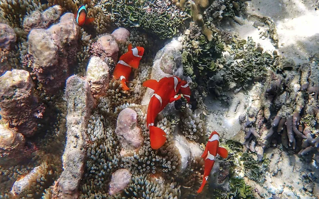 Scott in Raja Ampat — photo 3
