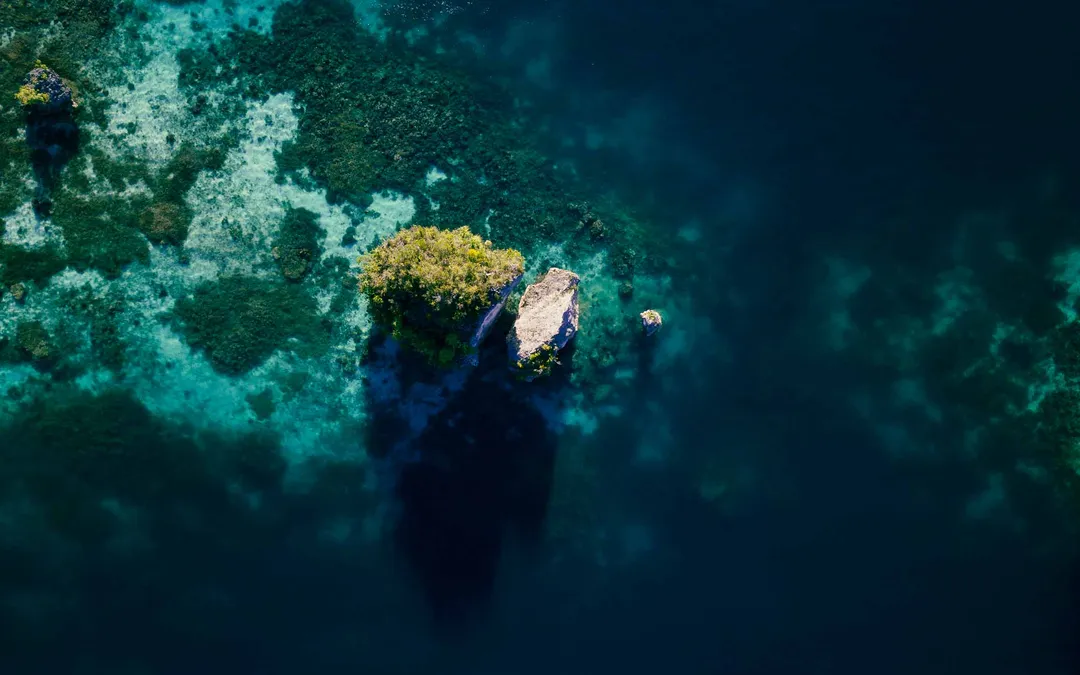 Sevi in Raja Ampat — photo 4