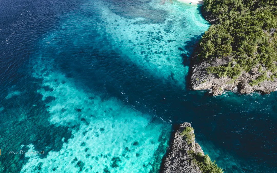 Nicolas & Alberto in Raja Ampat — photo 4