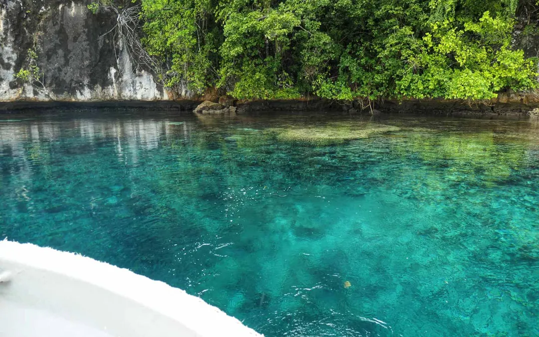 Scott in Raja Ampat — photo 6