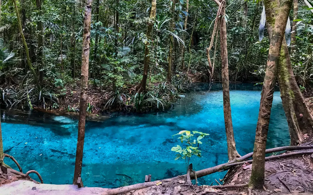 Jan & Larissa in Raja Ampat — photo 7