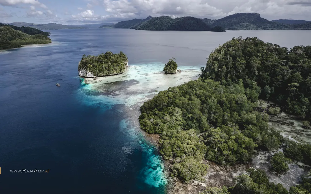 Nicolas & Alberto in Raja Ampat — photo 7