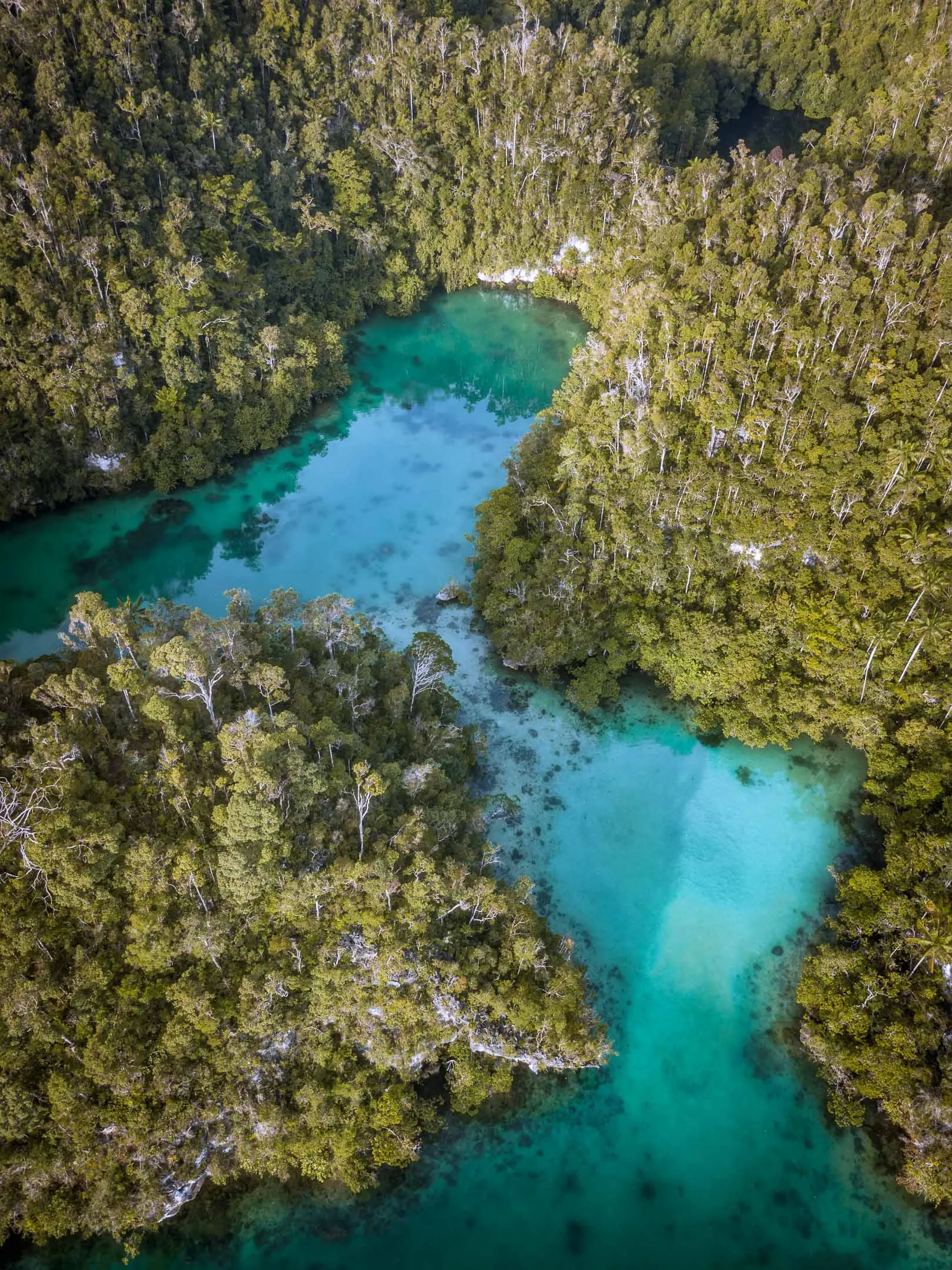 Aerial view of a hidden lagoon in Raja Ampat