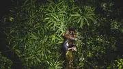 Trekking the Tropical Rainforest