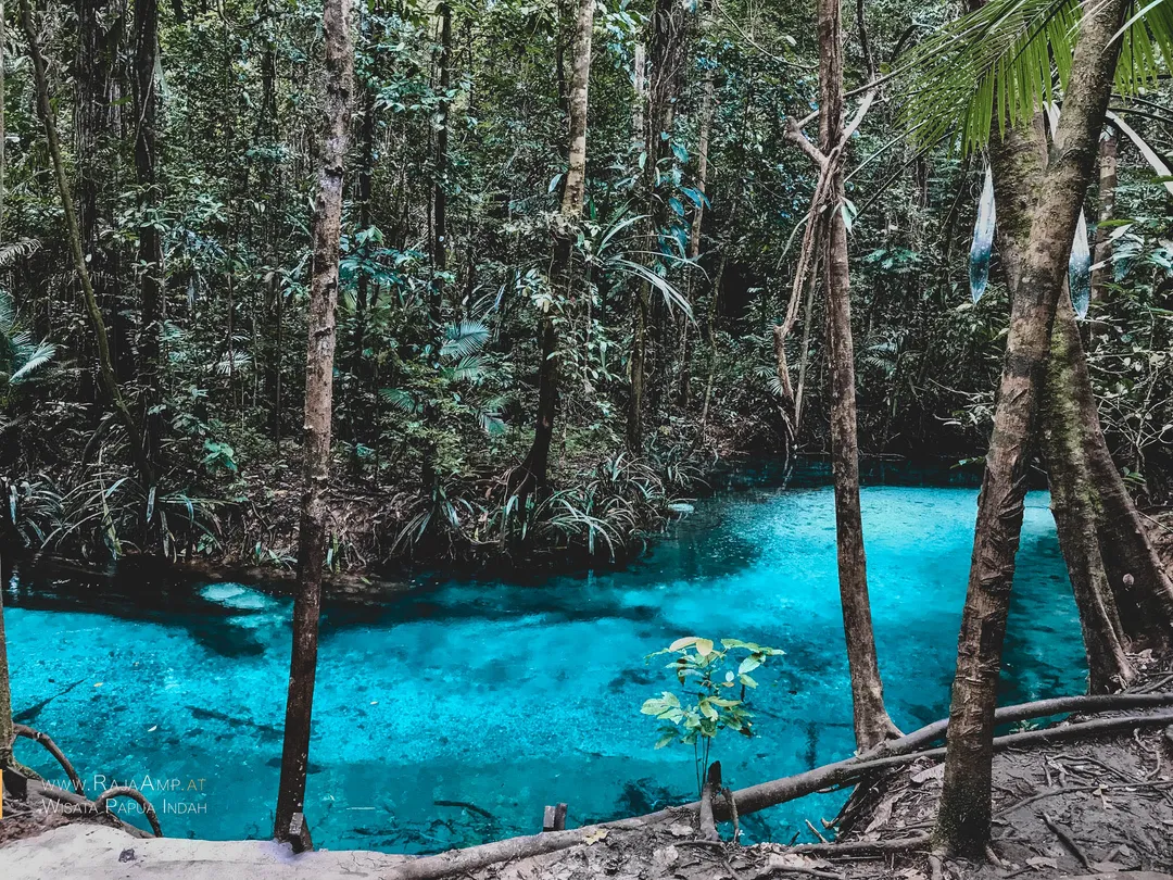 Incredible colour of Kali Biru in Mayalibit Bay in Raja Ampat