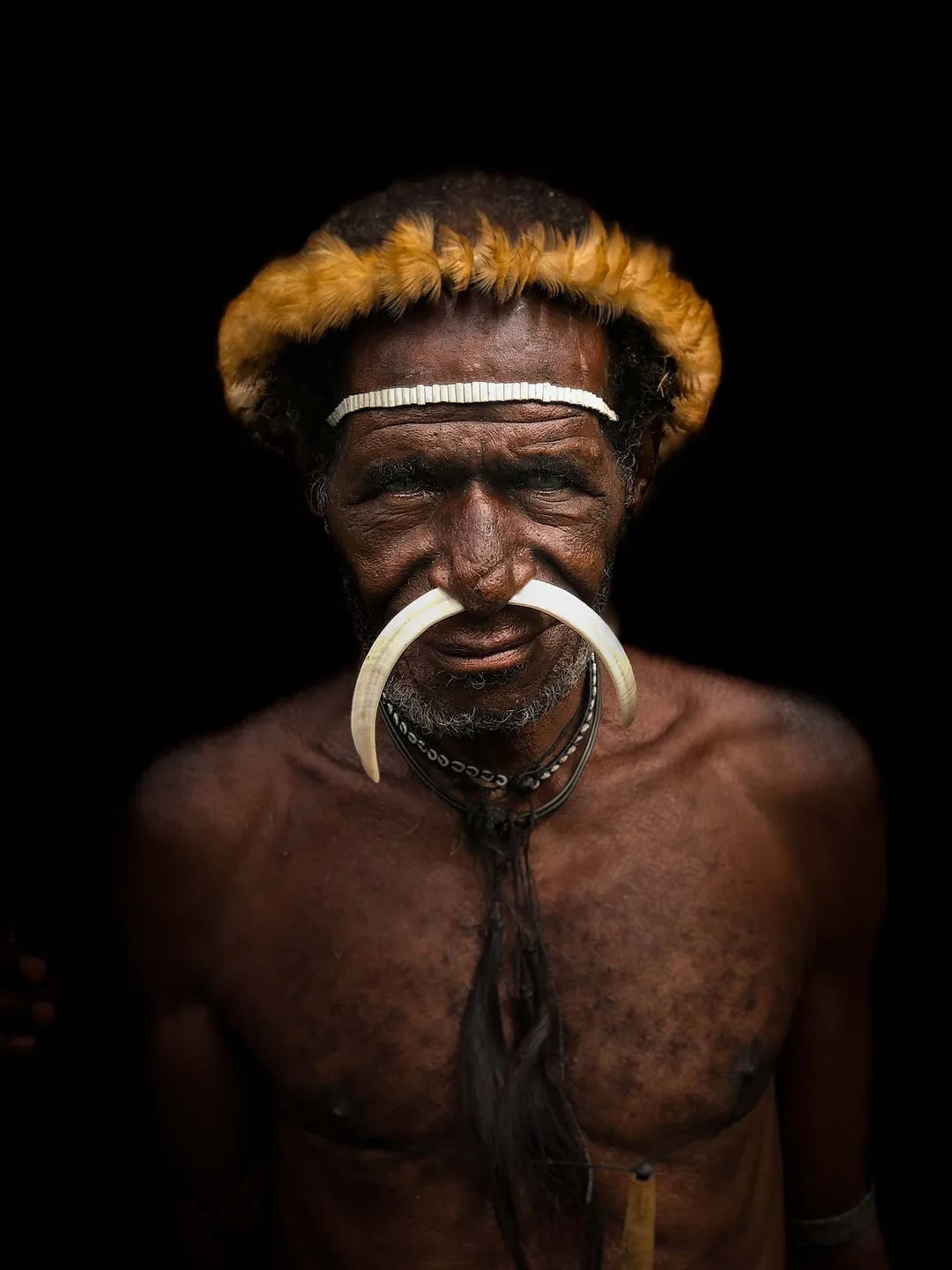 Papuan man with traditional head dress and nose decoration