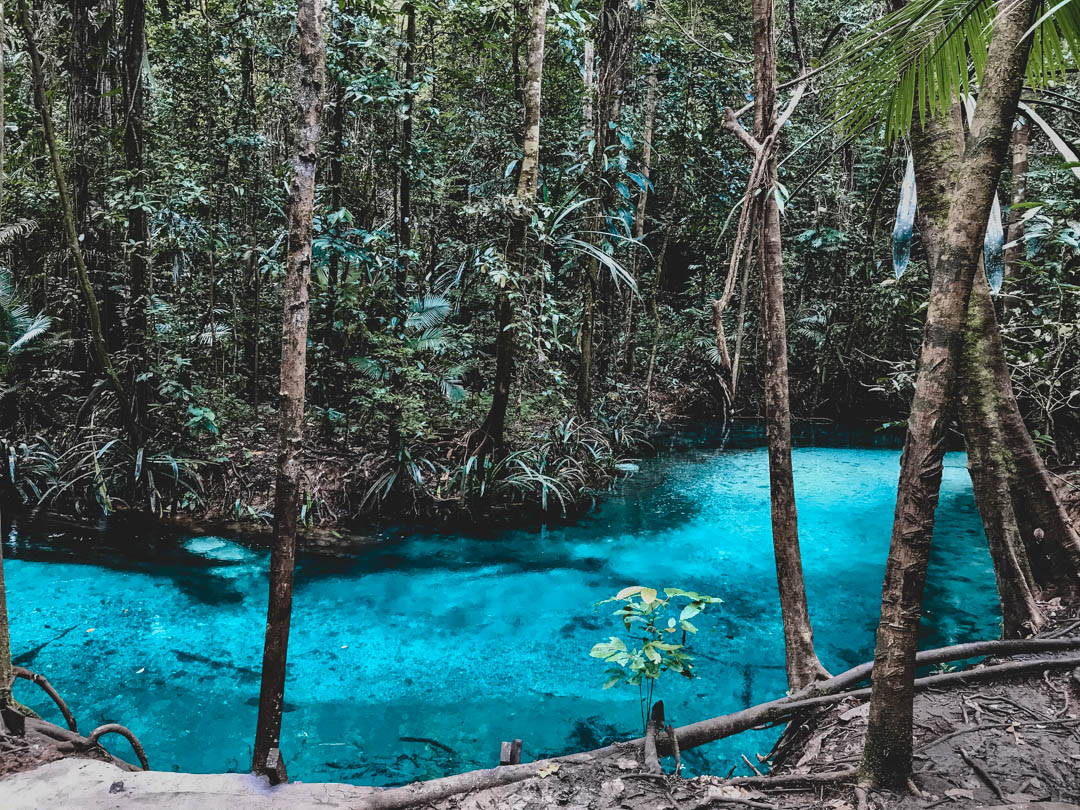 Incredible colour of Kali Biru in Mayalibit Bay in Raja Ampat