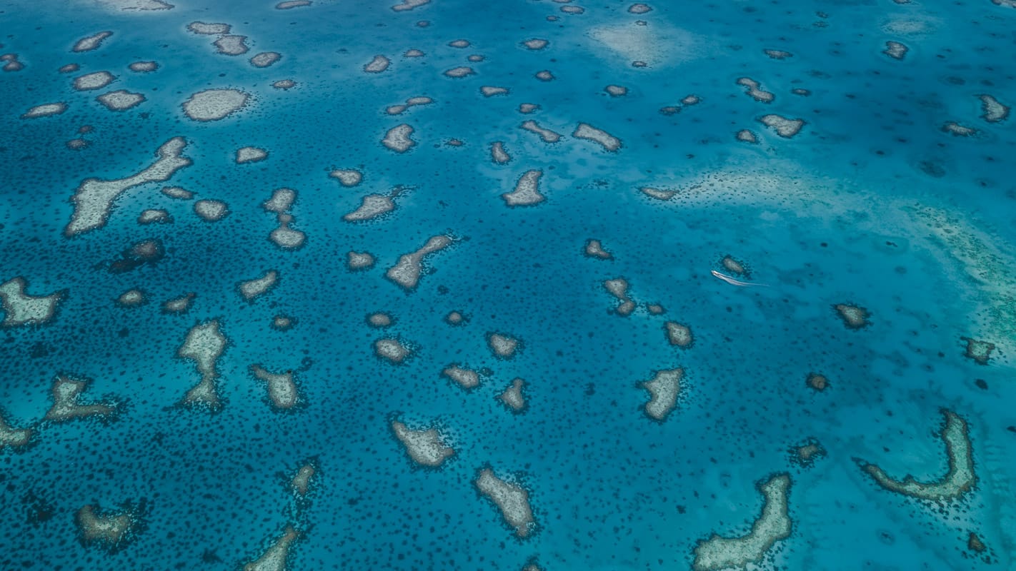 Aerial view of the clear, tropical waters of Raja Ampat