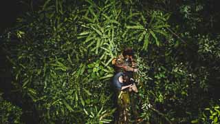 Trekking the Tropical Rainforest